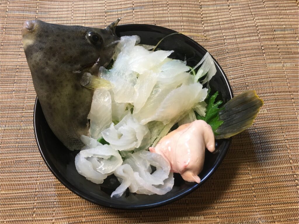 カワハギ釣りの時期とは 肝が美味しいのは意外にも 月 かわまるチャンネル